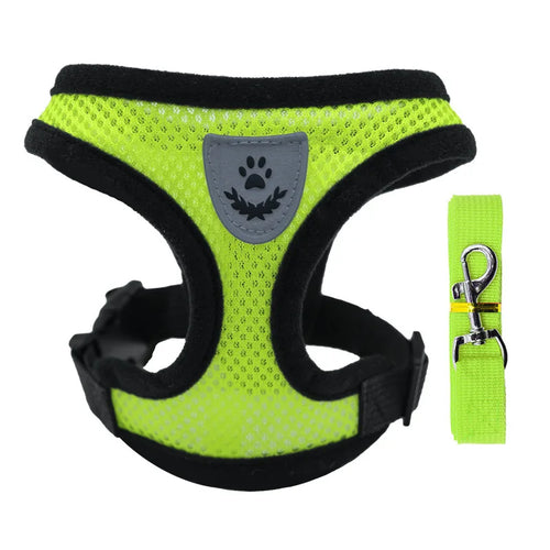 Hot new style dog walking and cat chest strap outdoor traction rope