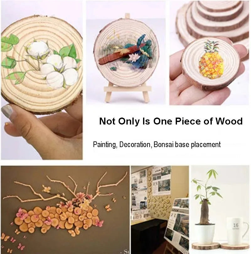 3-16CM/1-10pcsThick Natural Pine Round Unfinished Wood Slices Circles