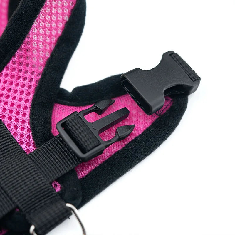 Hot new style dog walking and cat chest strap outdoor traction rope