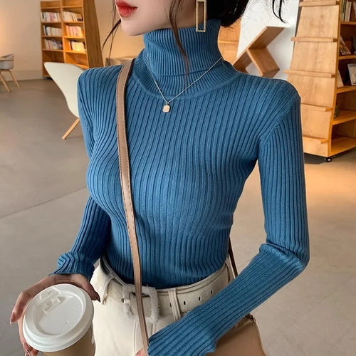 2025 Casual Slim Knitted Pullover Autumn Winter Thick Turtleneck