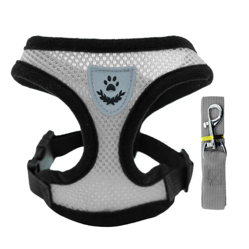 Hot new style dog walking and cat chest strap outdoor traction rope