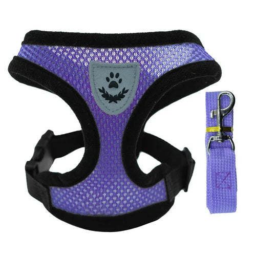Hot new style dog walking and cat chest strap outdoor traction rope