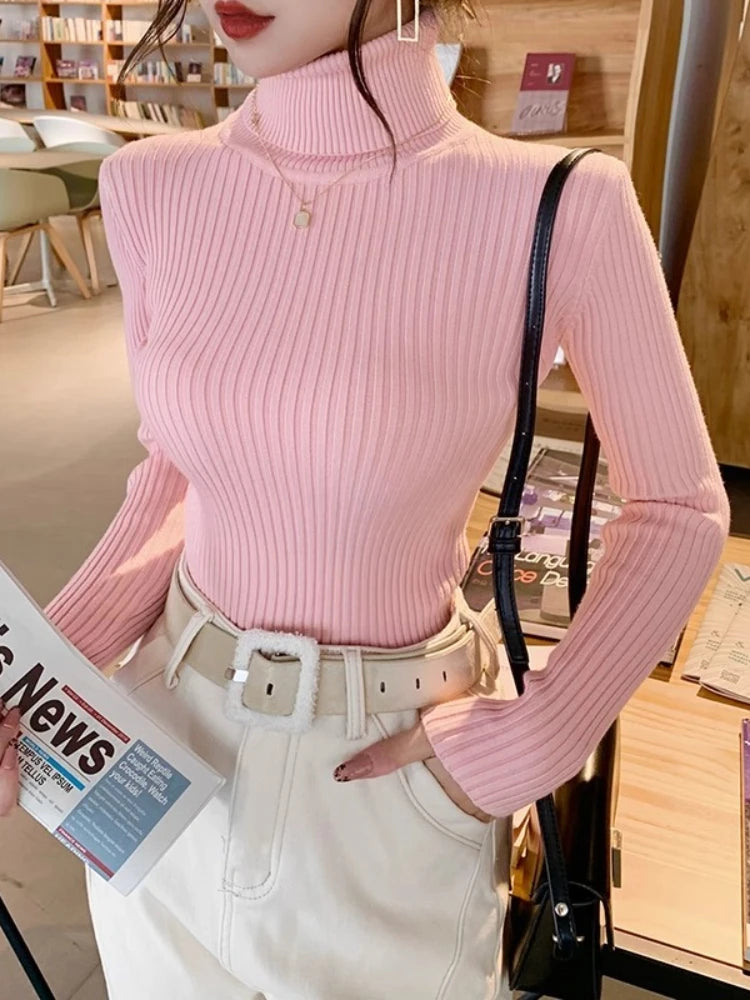 2025 Casual Slim Knitted Pullover Autumn Winter Thick Turtleneck