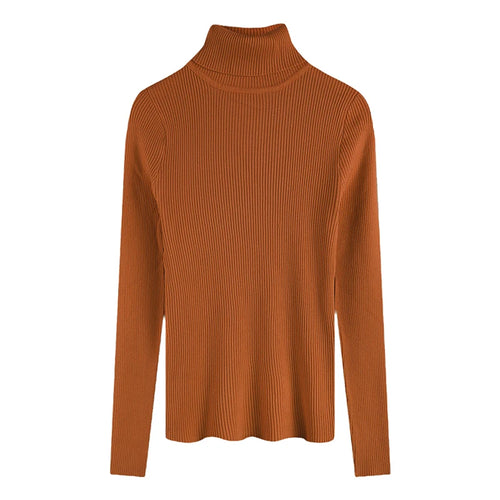 2025 Casual Slim Knitted Pullover Autumn Winter Thick Turtleneck
