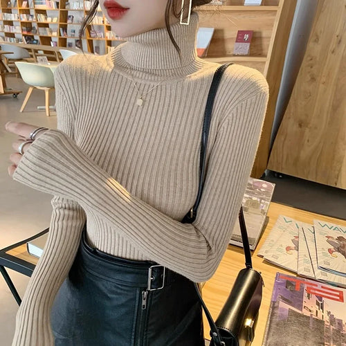 2025 Casual Slim Knitted Pullover Autumn Winter Thick Turtleneck