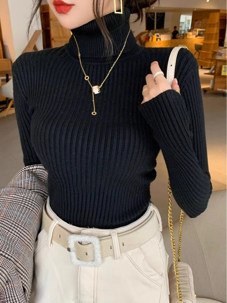 2025 Casual Slim Knitted Pullover Autumn Winter Thick Turtleneck