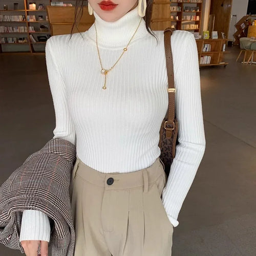 2025 Casual Slim Knitted Pullover Autumn Winter Thick Turtleneck