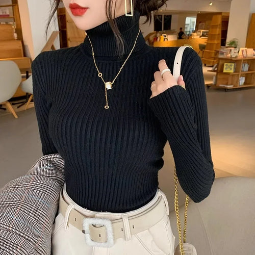 2025 Casual Slim Knitted Pullover Autumn Winter Thick Turtleneck