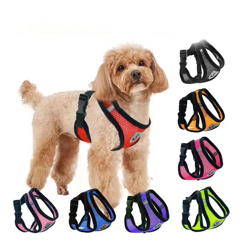 Hot new style dog walking and cat chest strap outdoor traction rope