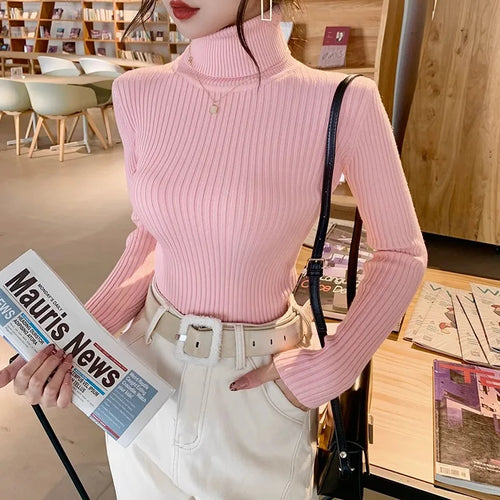 2025 Casual Slim Knitted Pullover Autumn Winter Thick Turtleneck