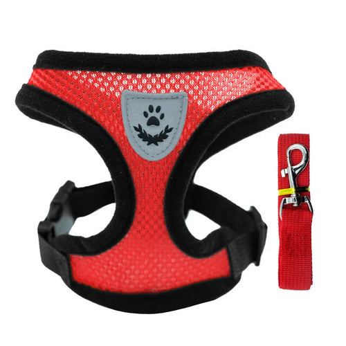 Hot new style dog walking and cat chest strap outdoor traction rope
