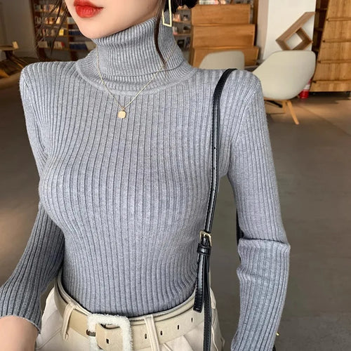 2025 Casual Slim Knitted Pullover Autumn Winter Thick Turtleneck